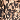 Animal Print